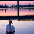 Swan Lake