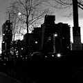 late afternoon walk
