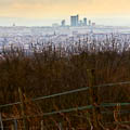 skyline mount vienna